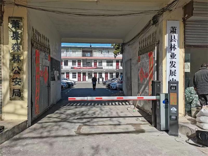 蕭縣森林公安局好色先生在线一区係統